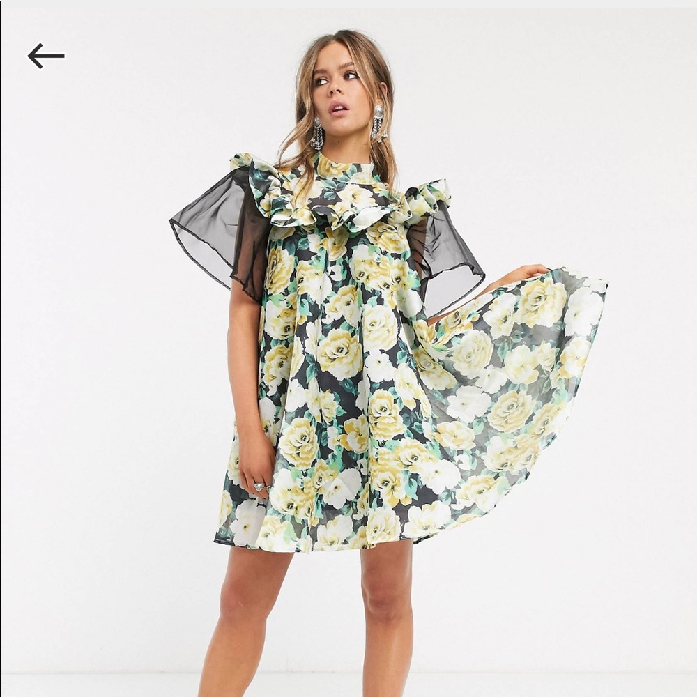 Sister Jane Mini Smock Dress with Organza Sleeves